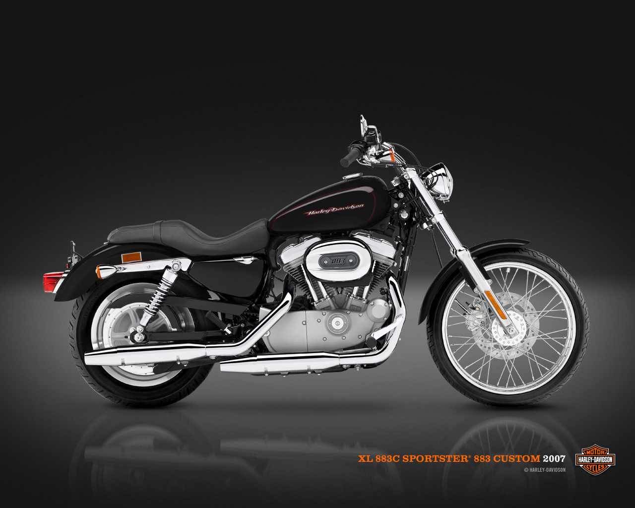 2007 sportster 883 shop custom